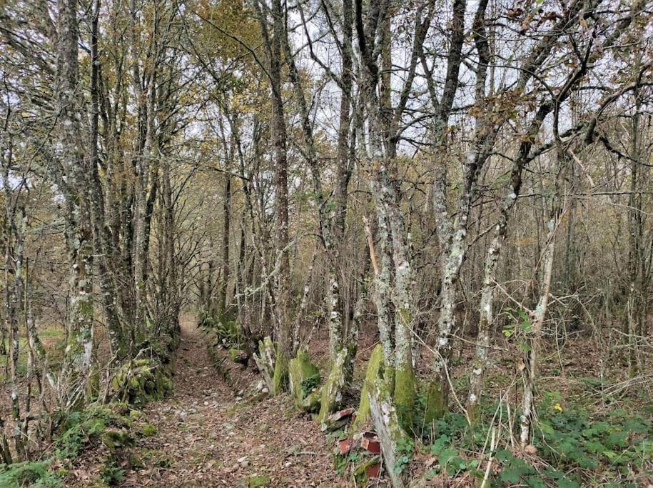 Casa Carmina: Casa Para Pequenos Grupos En El Corazon De Galicia O Irixo Luaran gambar